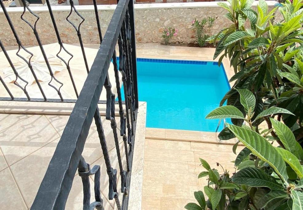 Leton Kleo - Center Kalkan
