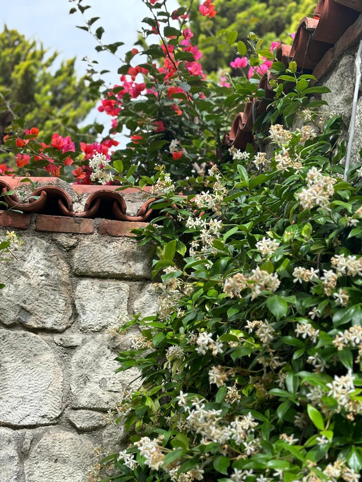 Tasdelen 4* Alacati