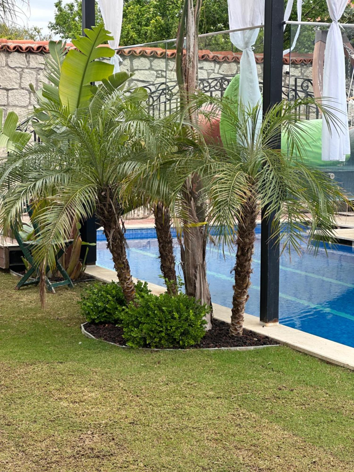 Grand Butik Hotel Alacati
