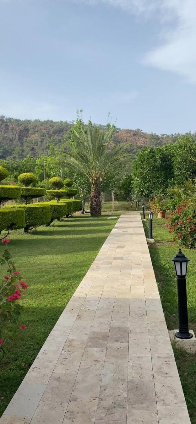 Plaj Guest house