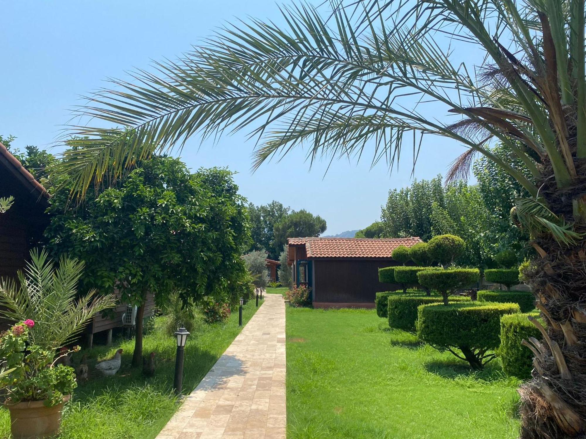 Guest house Plaj