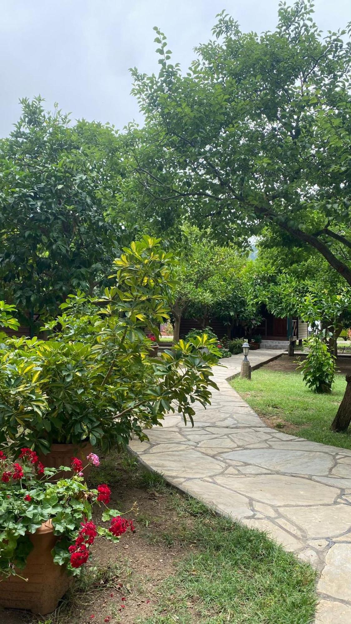 Guest house Plaj 3*