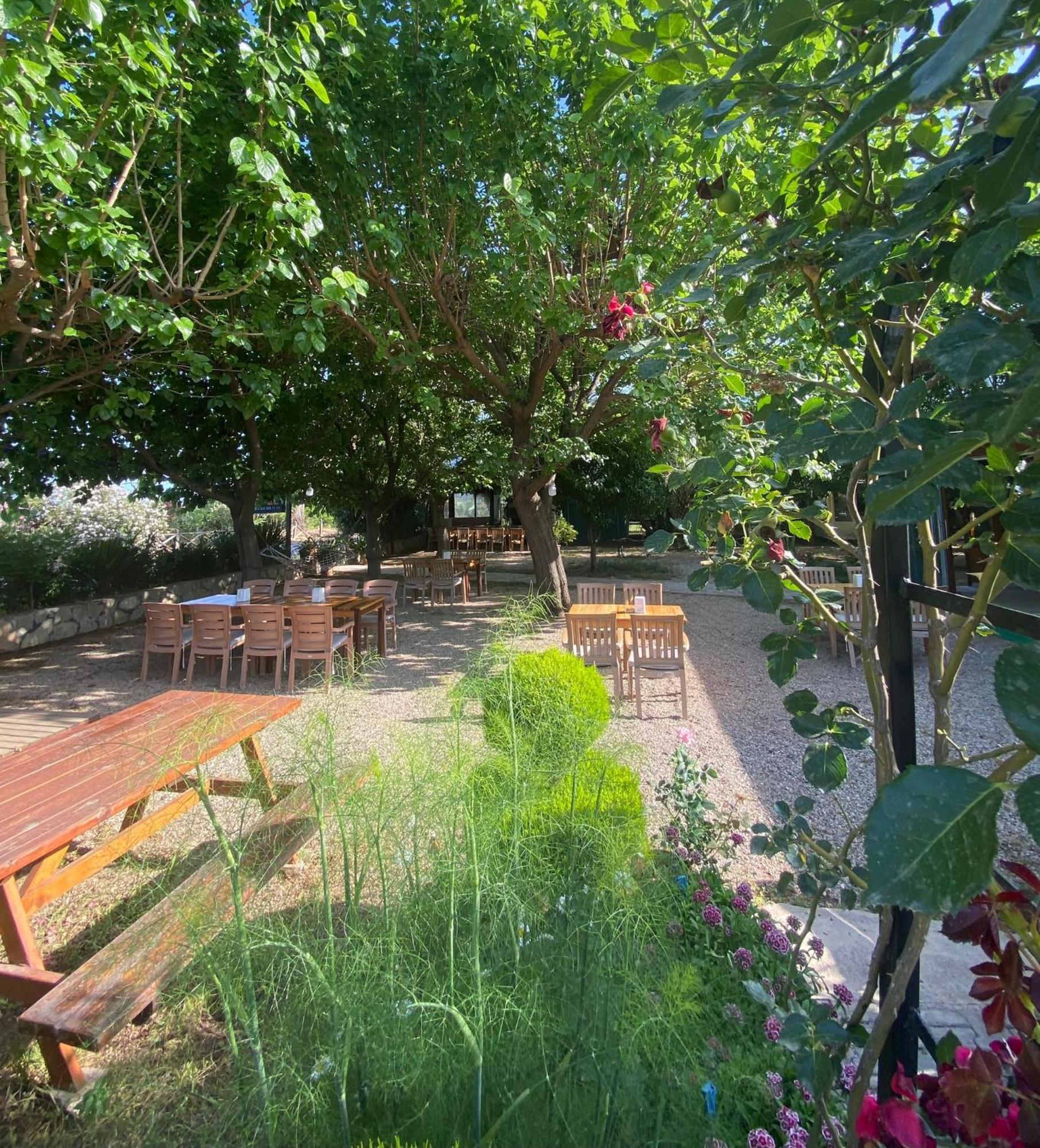 Plaj Guest house Cirali