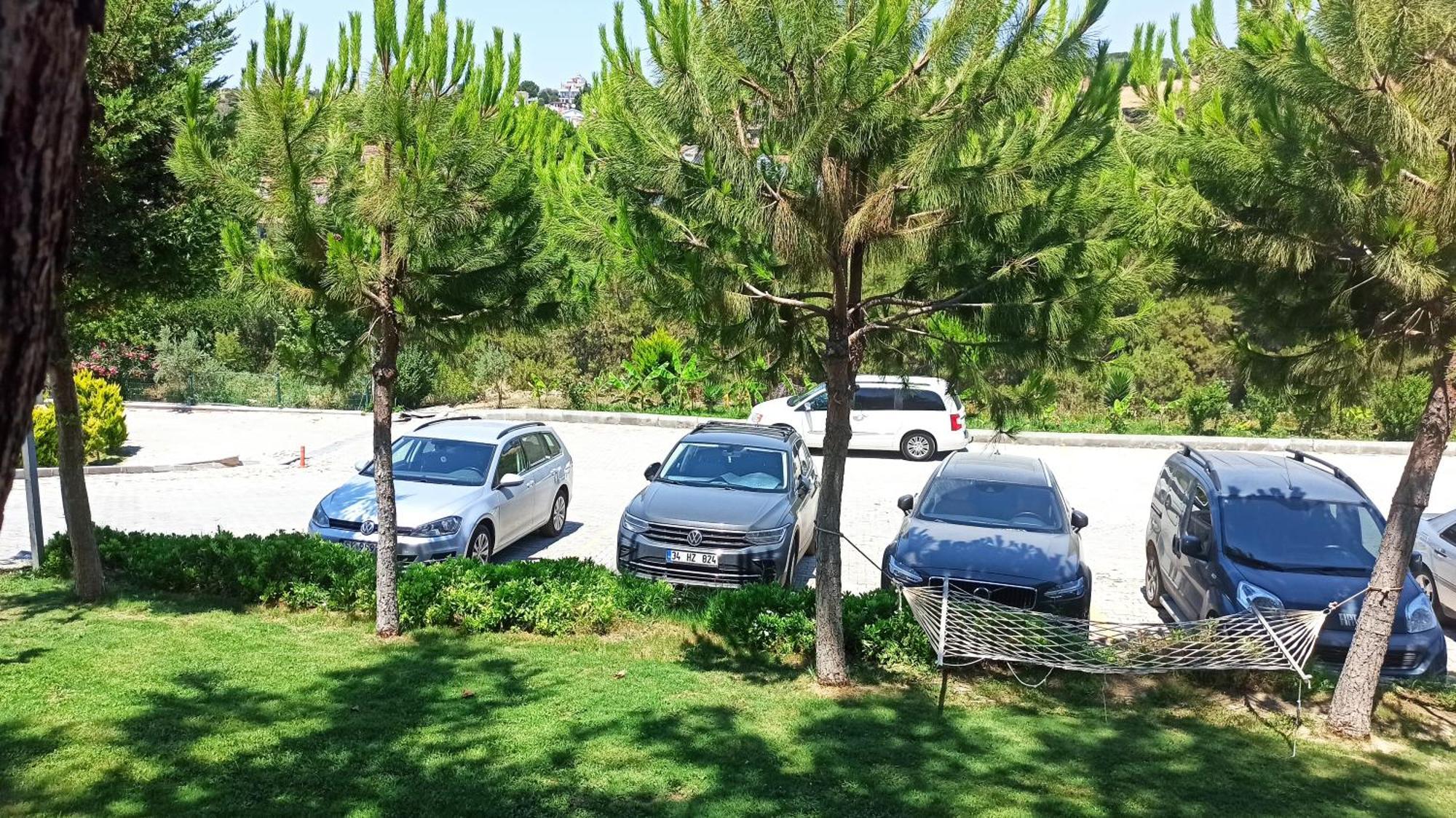 Lavender Kusadasi