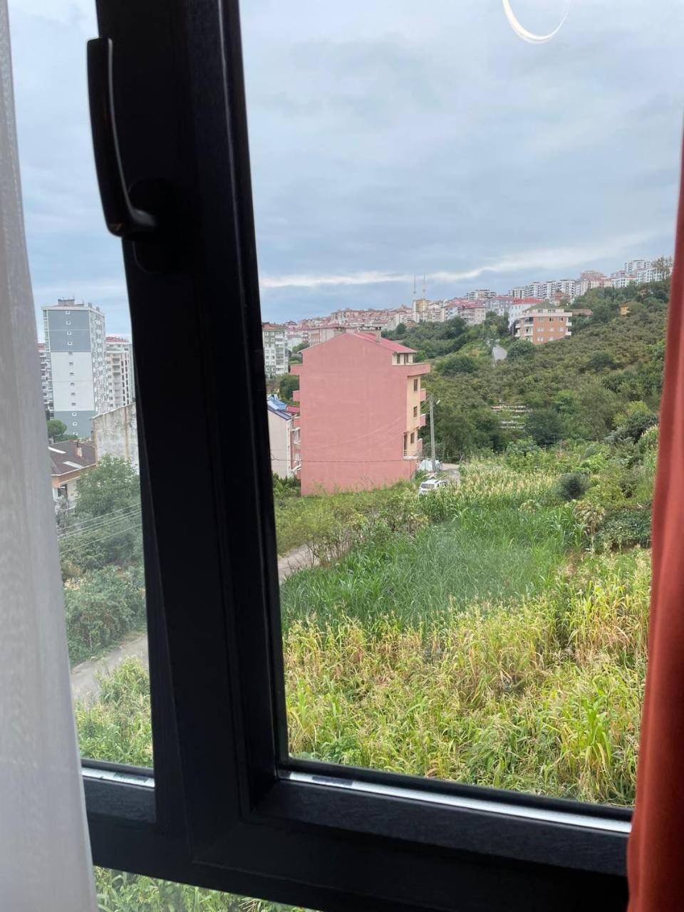 Mahal House Pelitli (Trabzon)