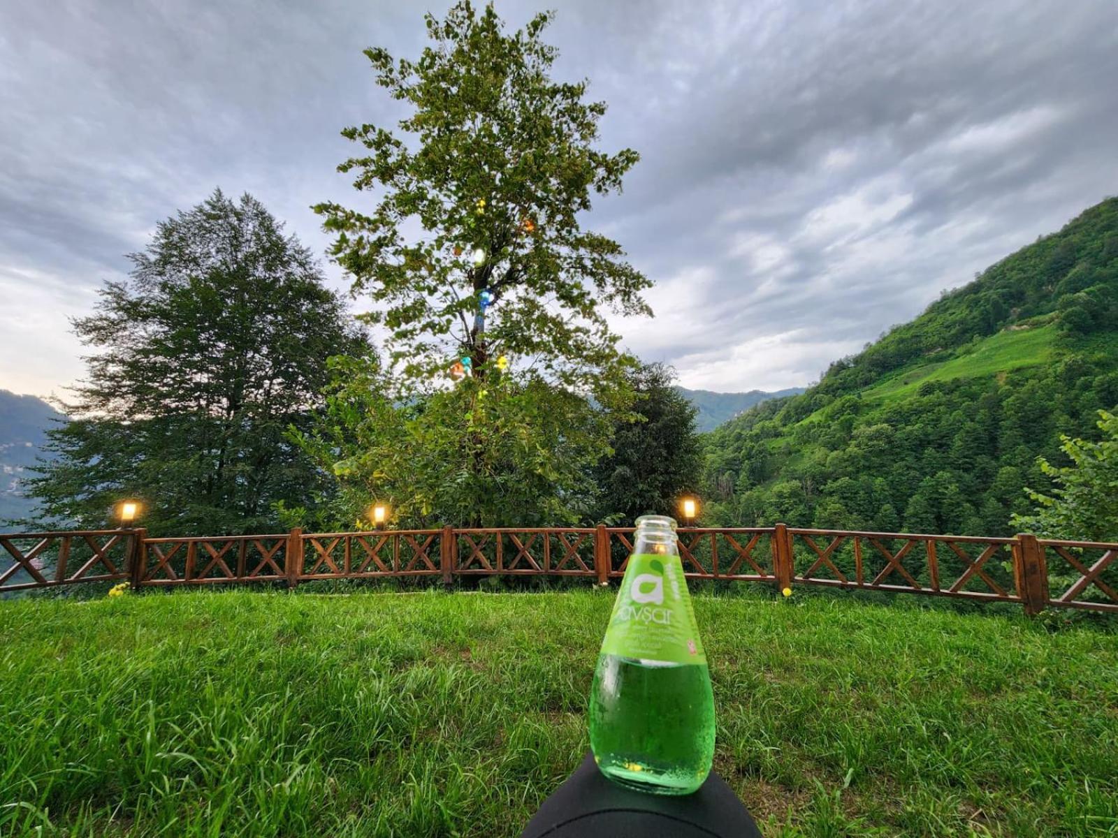 Emosh'un Tatil Koeyue Ardesen