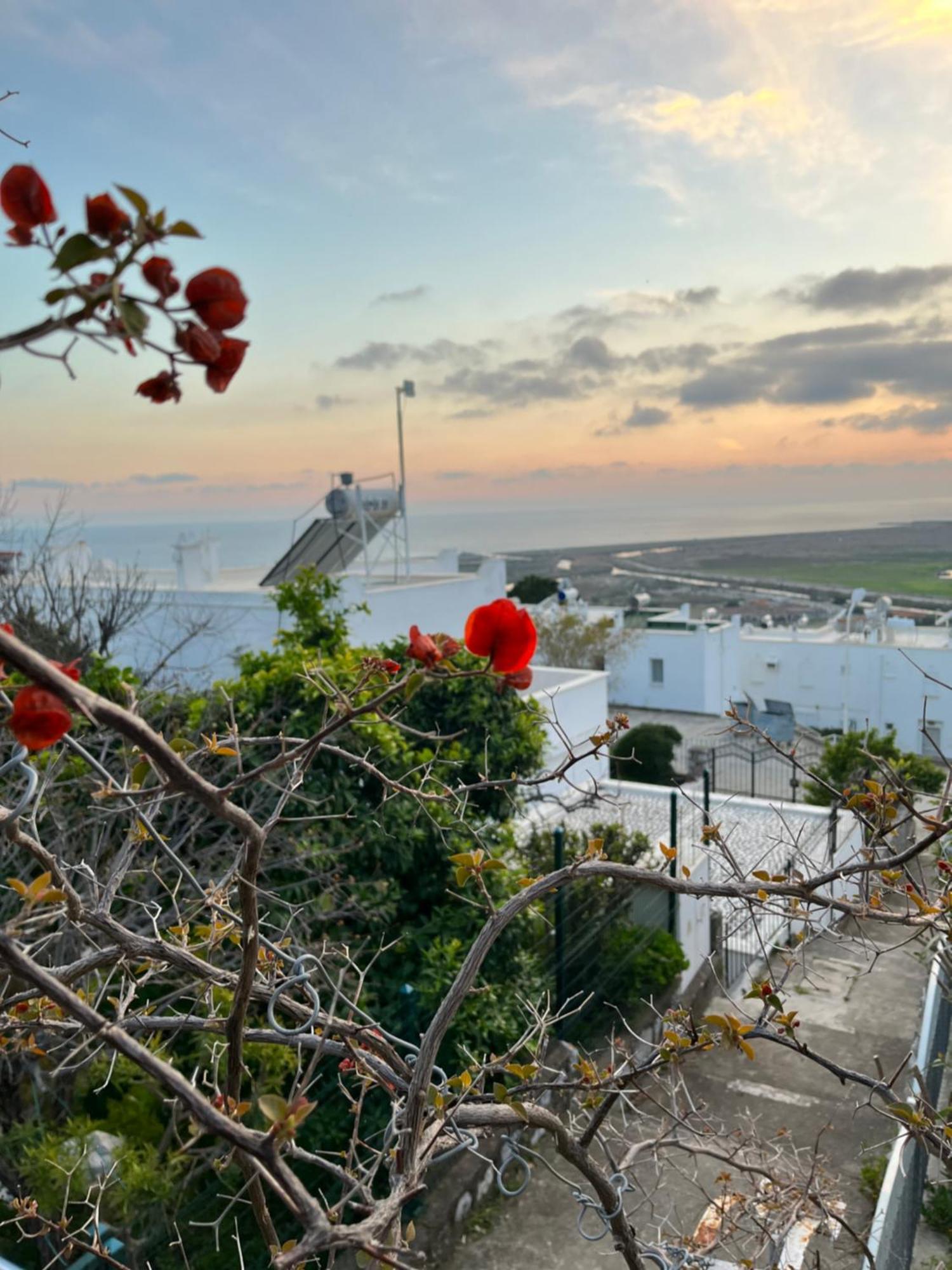 Villa Bella Vista - Near The And Airport