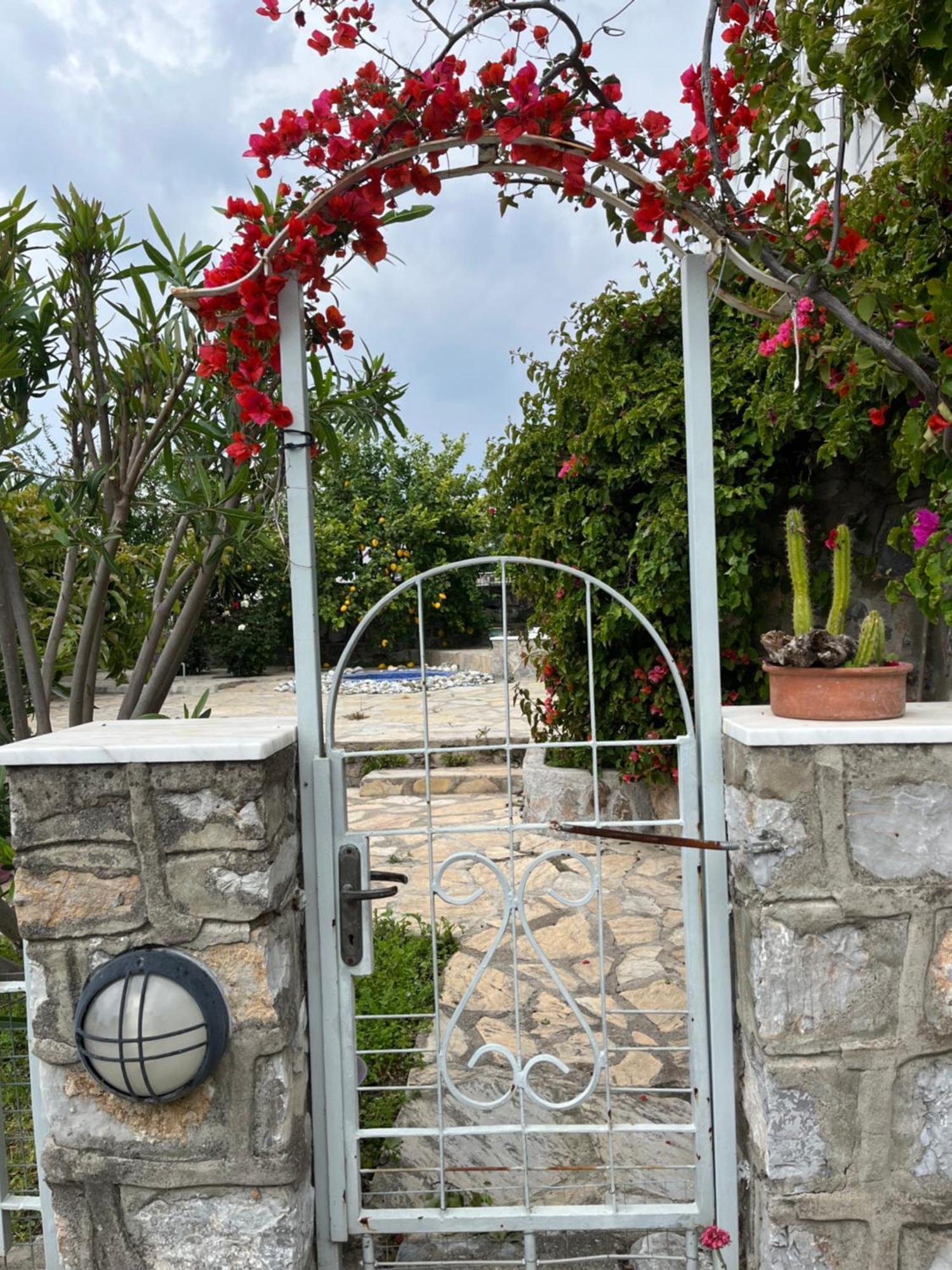 Villa Bella Vista - Near The And Airport Dalaman
