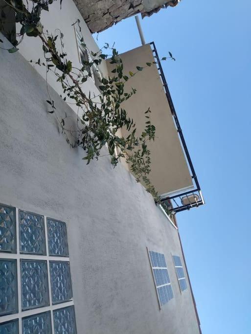 Aj Muestakil Ev Doert Odali Holiday home Ayvalik