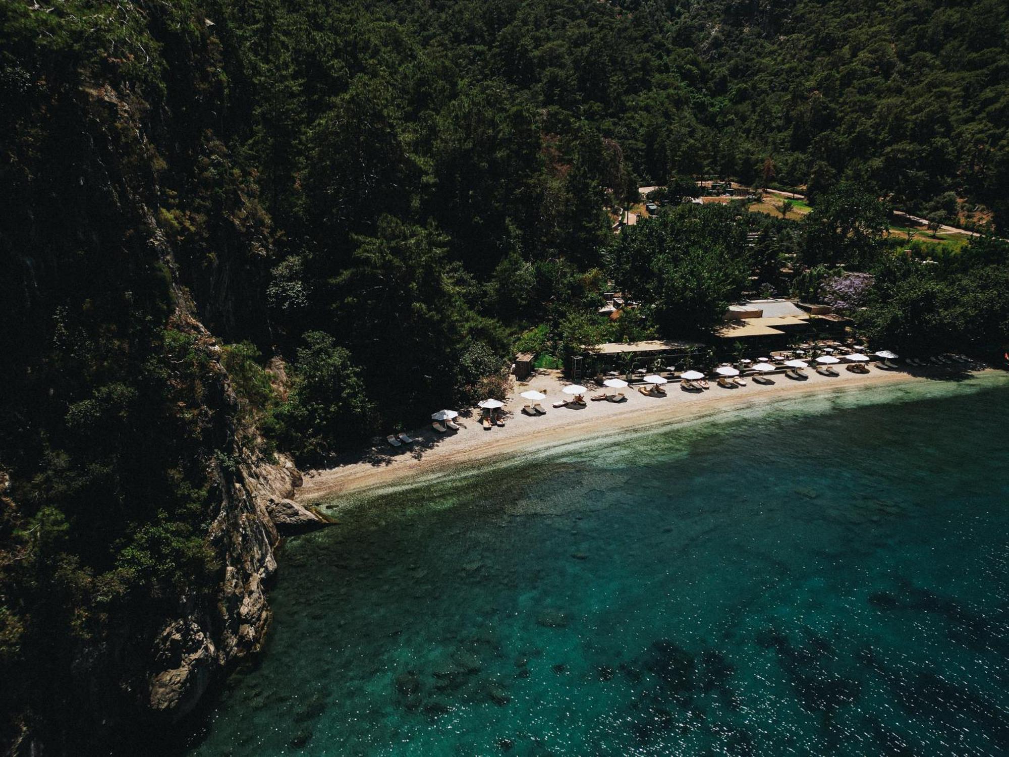 Yazz Collective Hotel *