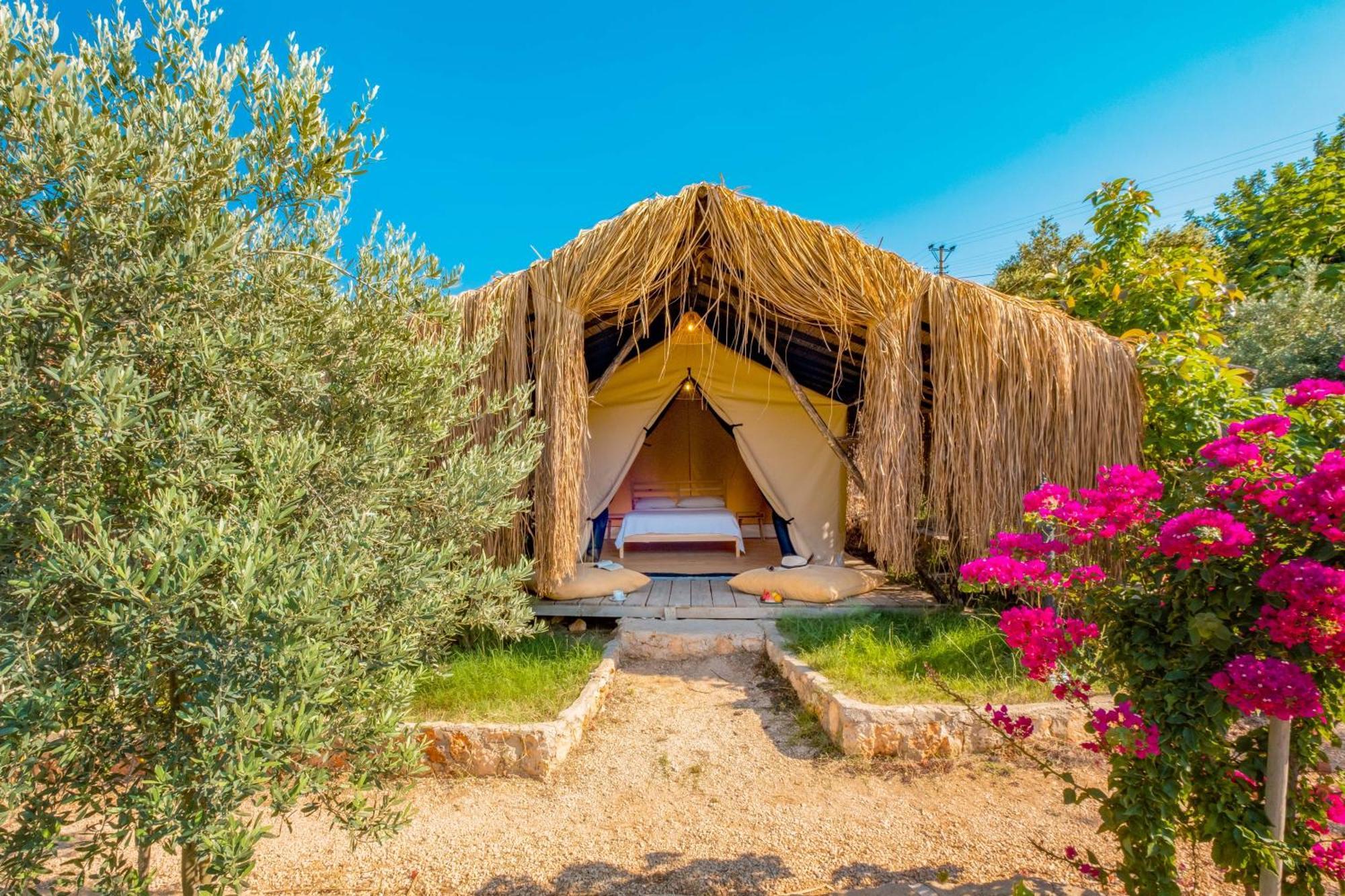 Joy Glamping Campsite *