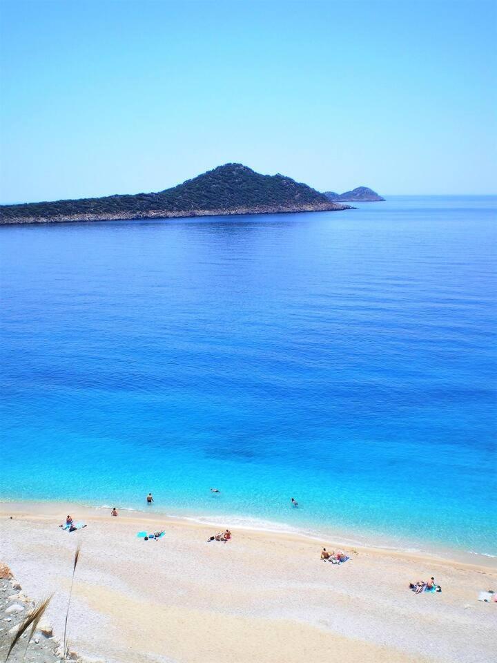 Icon * Kalkan
