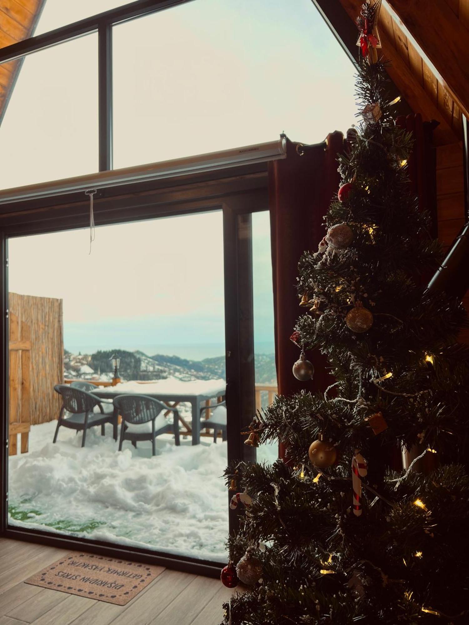 Hotel Olva