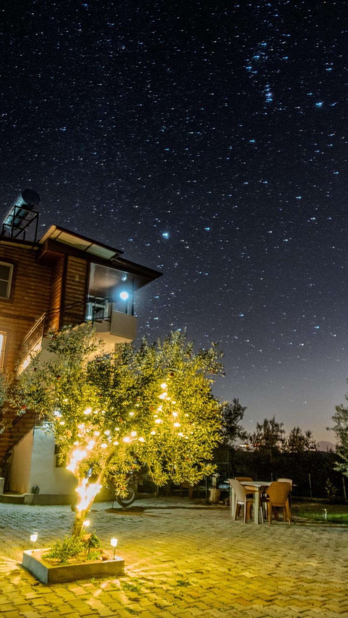 Campsite Oli & Istanbul