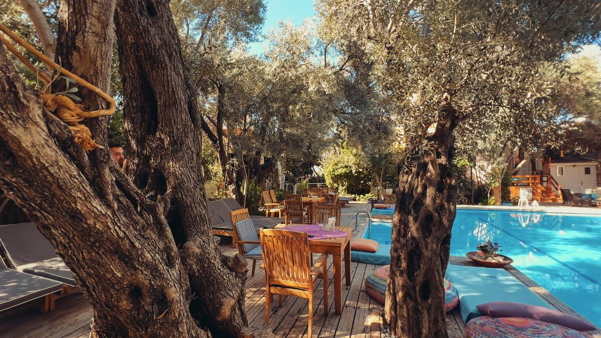 Oyster Residences - Adult Only Hotel Oludeniz