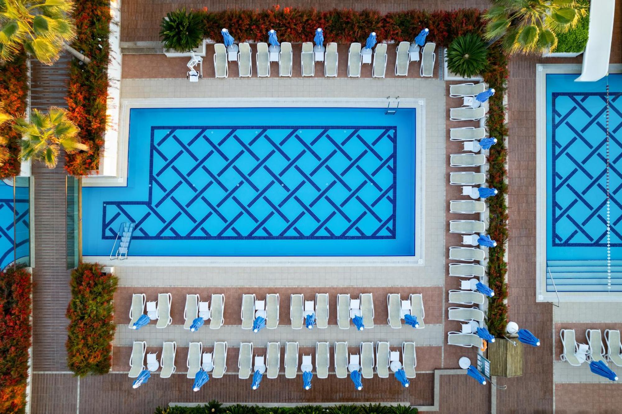 Sentido Trendy Verbena