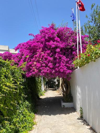 Hotel Kavala *