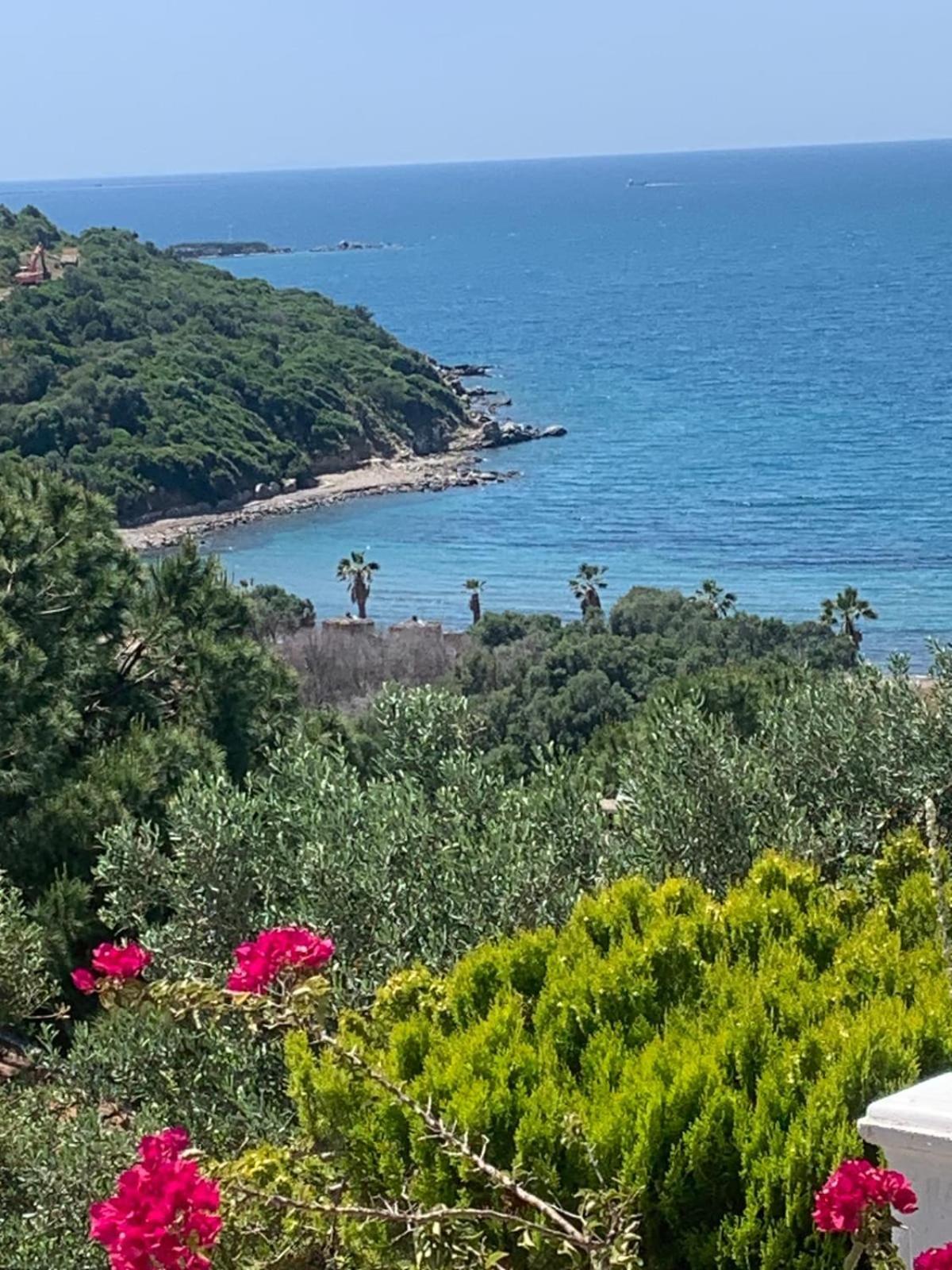 Villa Sevinc Papatya House Milas