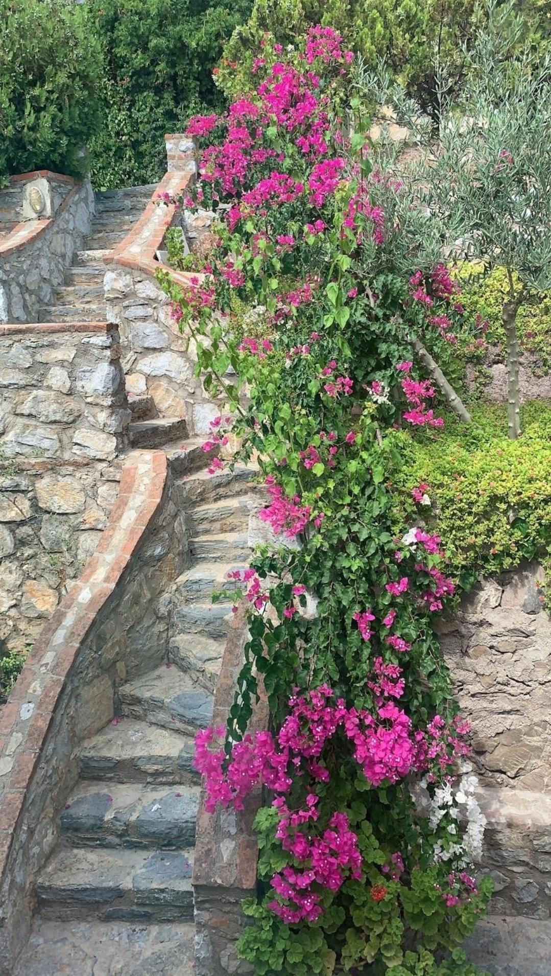 Villa Sevinc Papatya House *