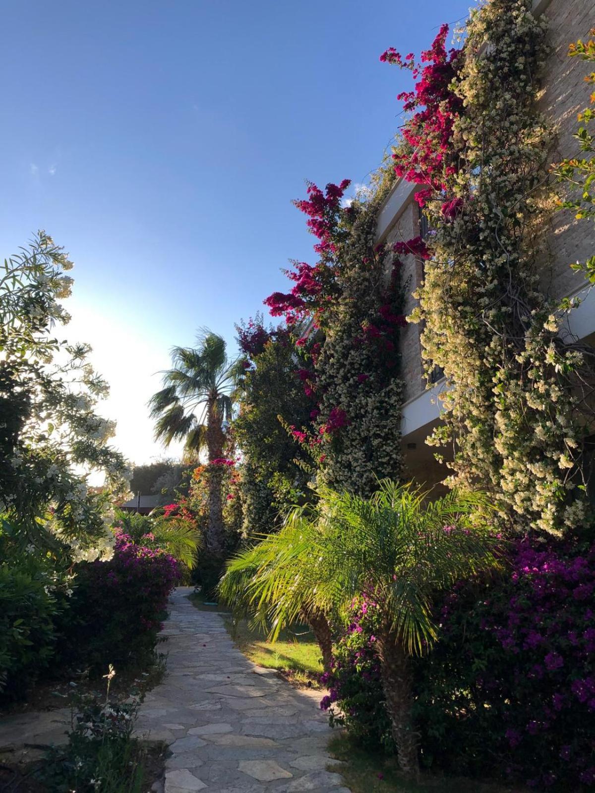 Hotel Spektr Boutique Yalikavak