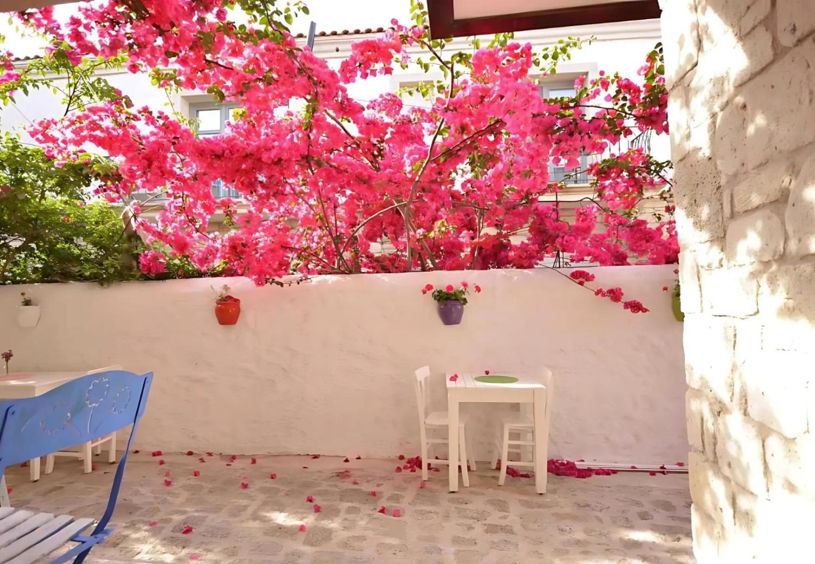 Alayaz Alacati