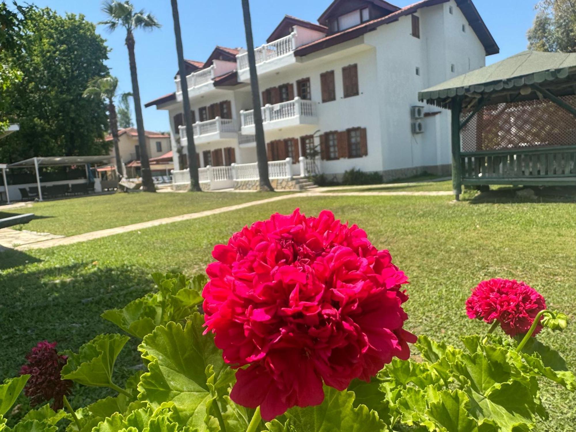 Apartment Beyaz