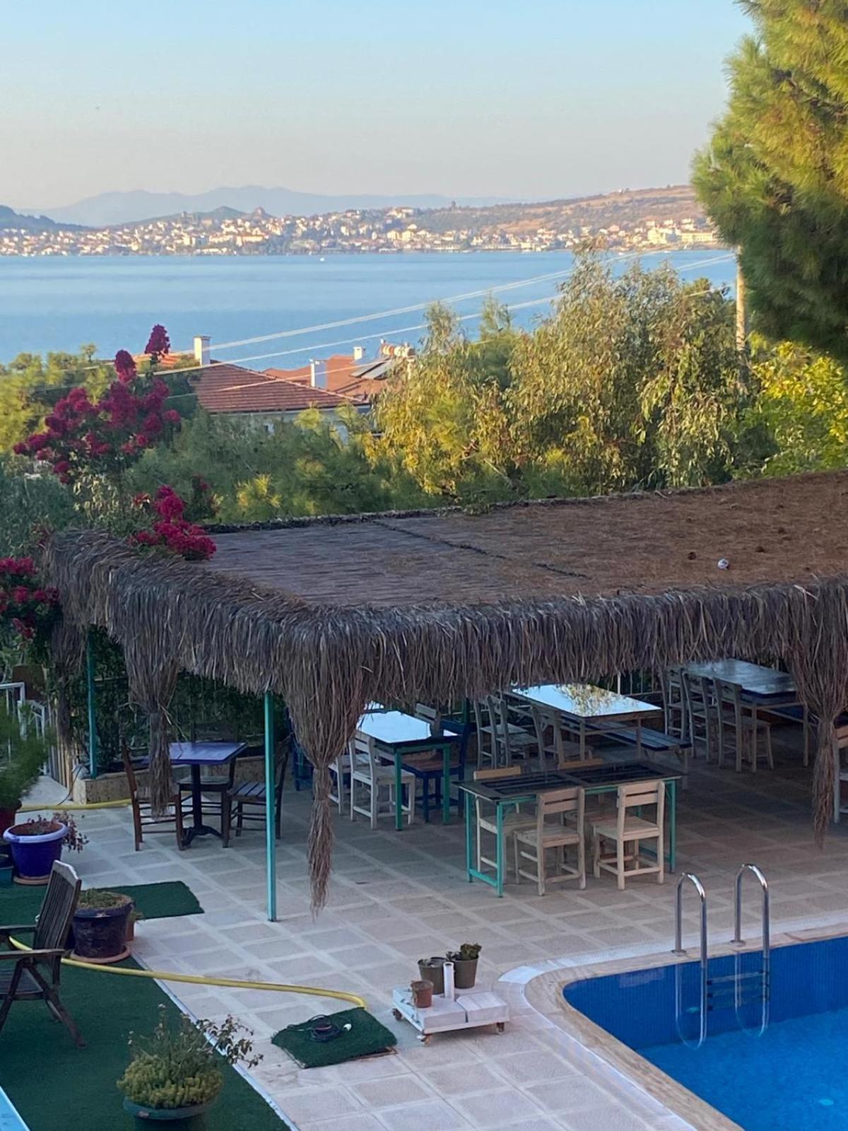 Tunc Ayvalik