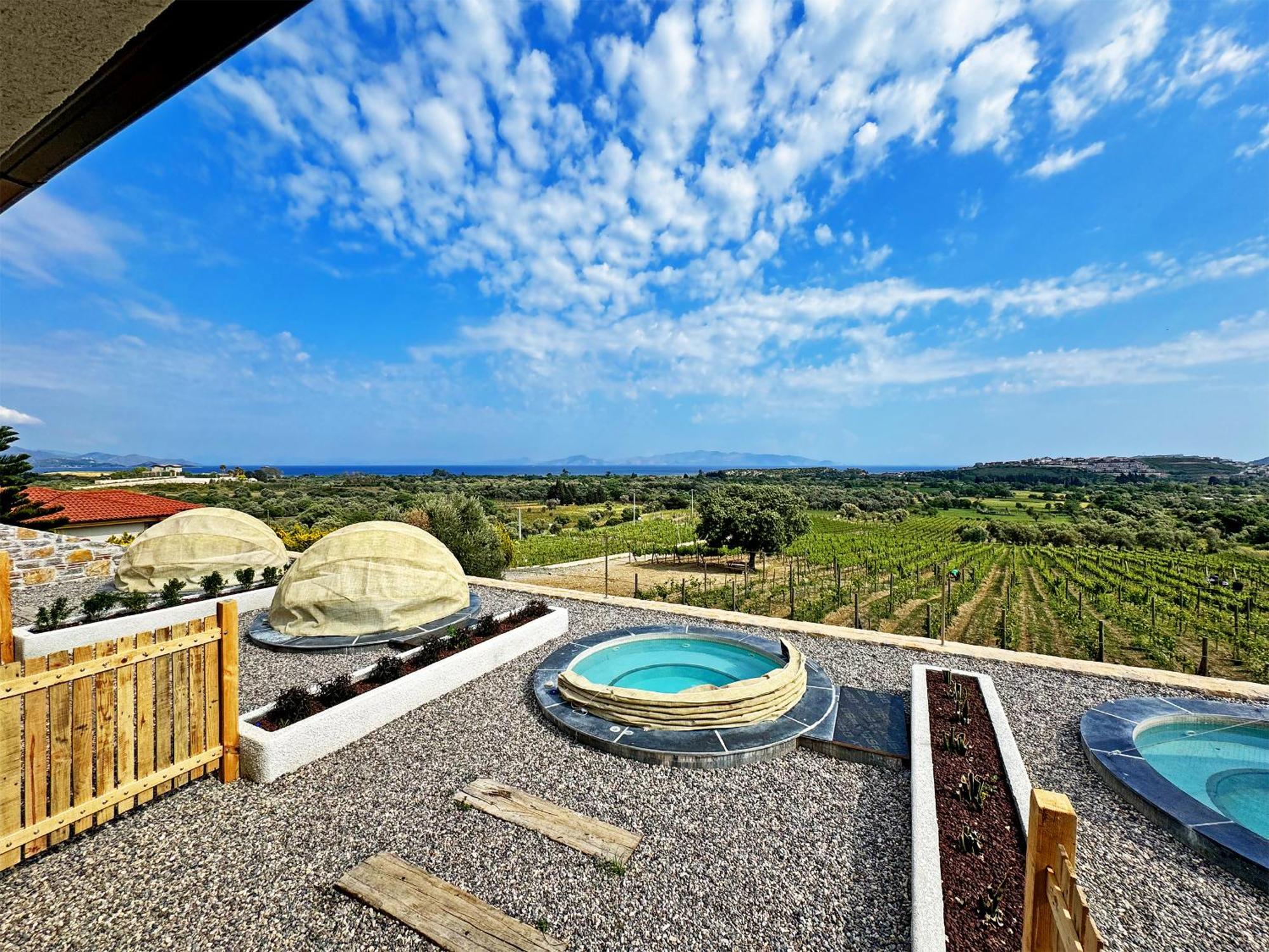 Vineyard - Over 14 Years Old Only Datca