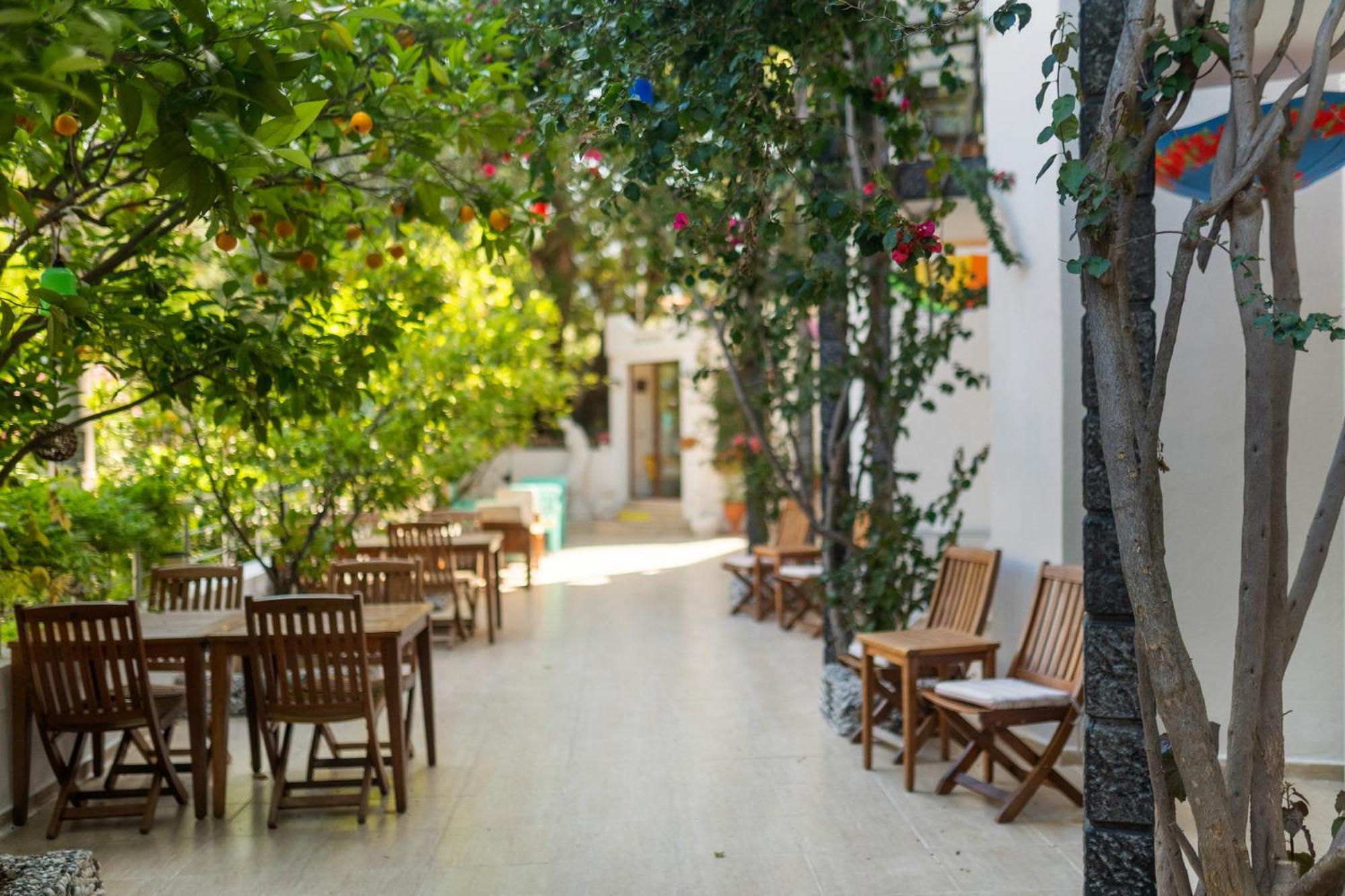 Eden Pyara Hotel 2*