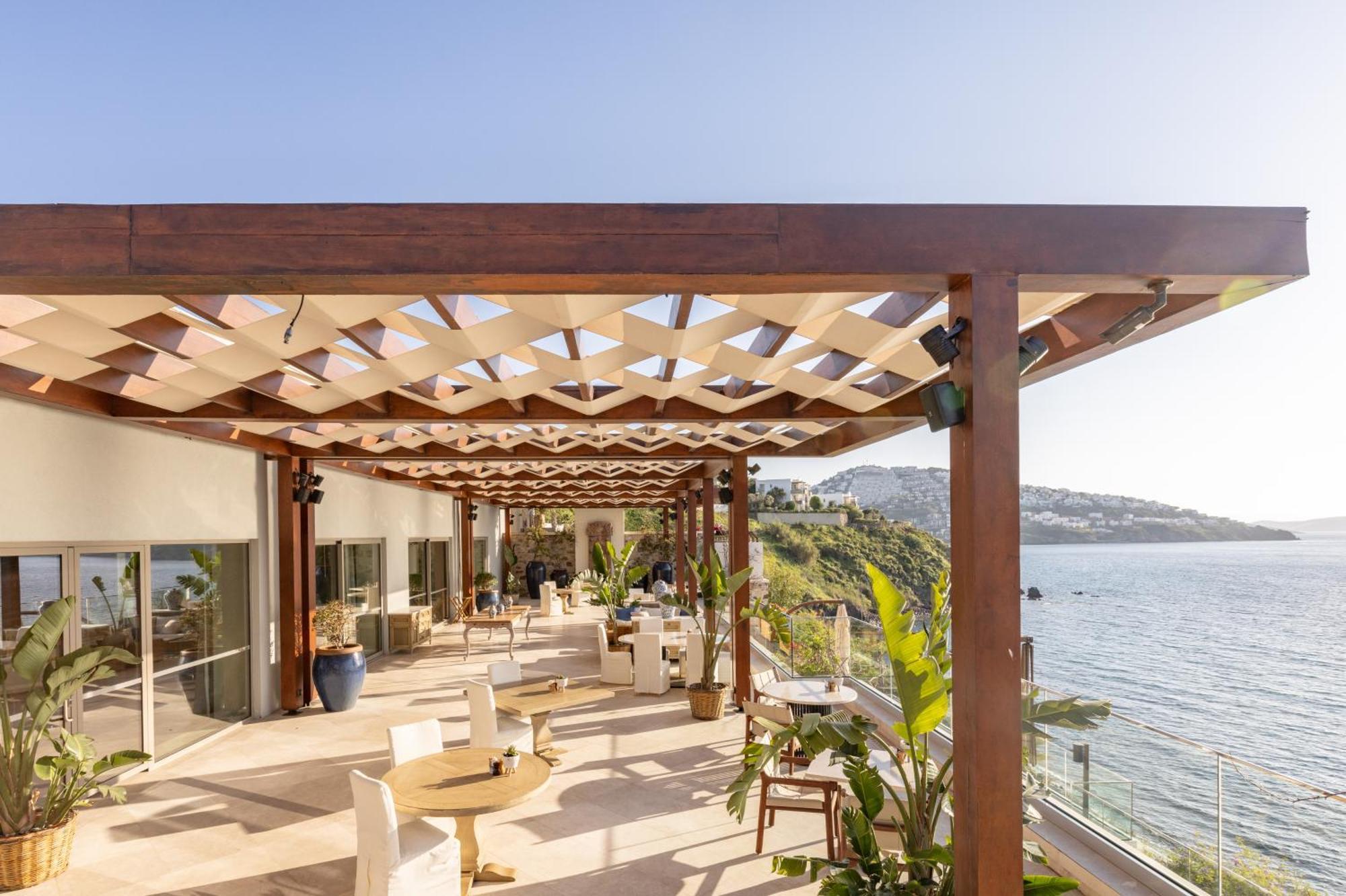 Allium Bodrum &