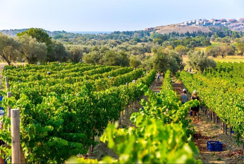 Vineyard - Over 14 Years Old Only Bed & Breakfast 2*