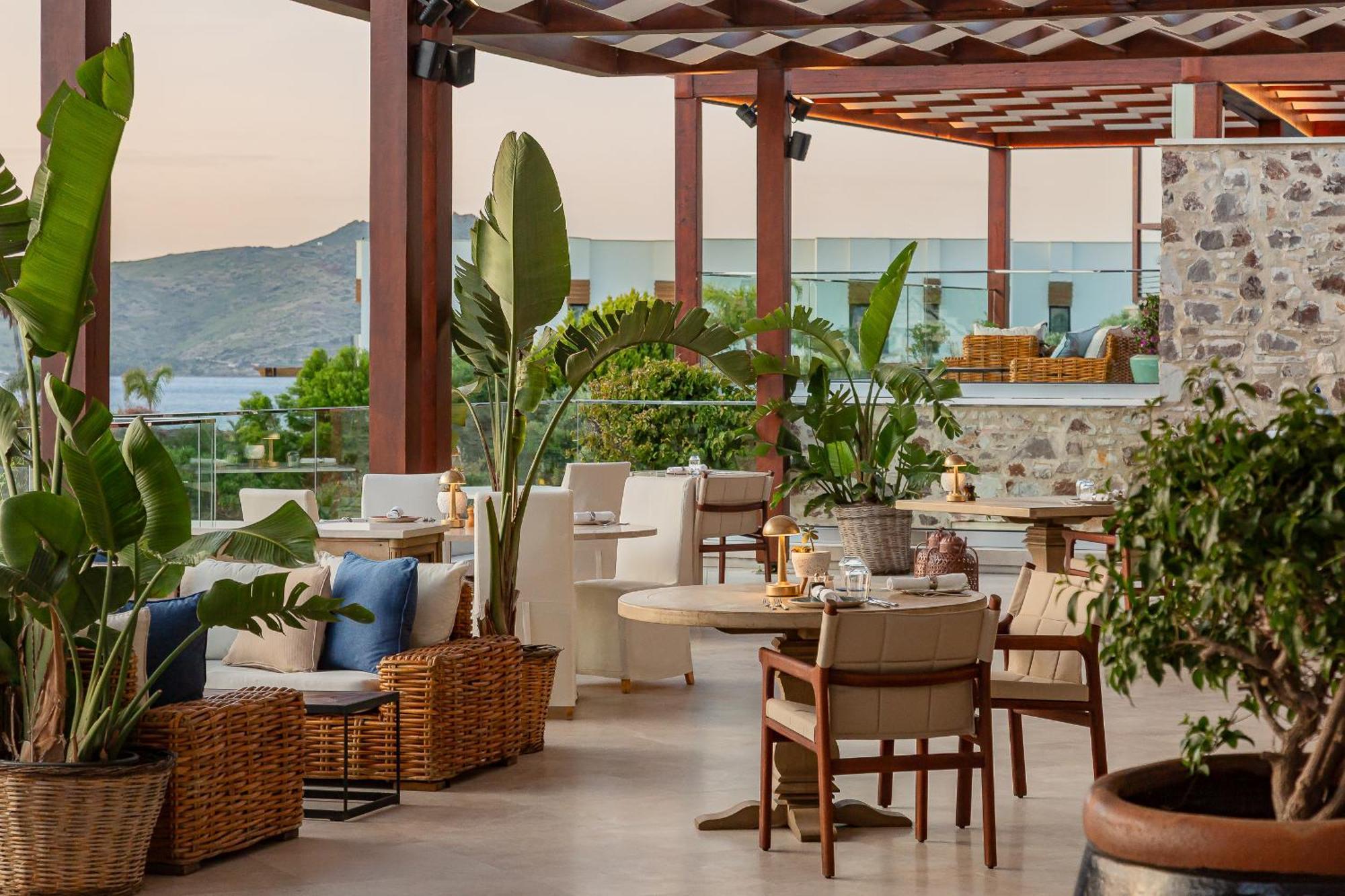 Allium Bodrum & Yalikavak