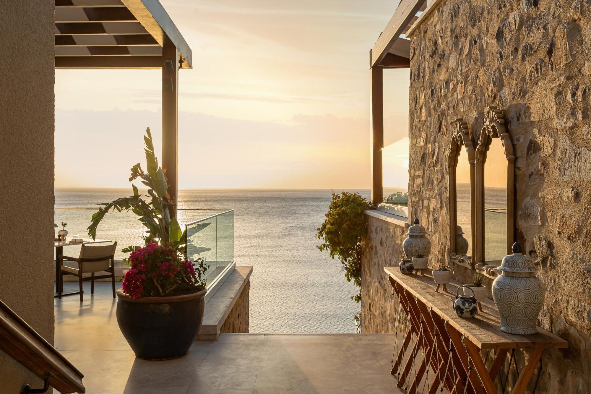 Allium Bodrum &