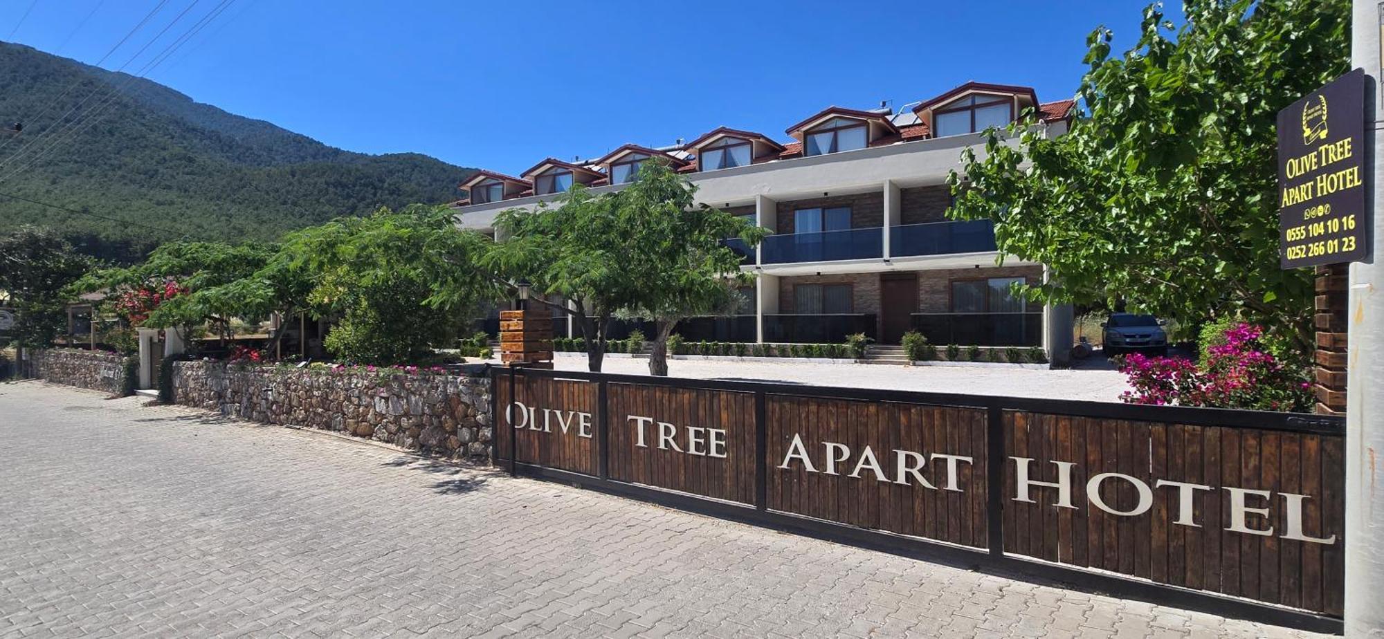 Olive Tree * Mugla