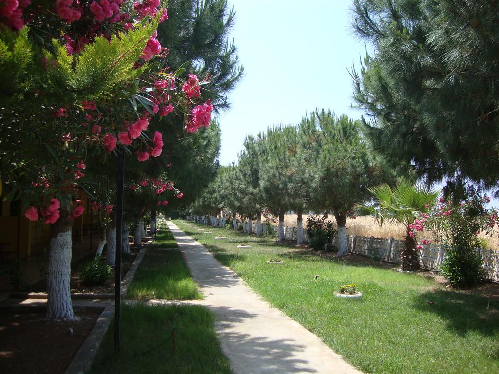 Hotel Koru Beach Club 4*