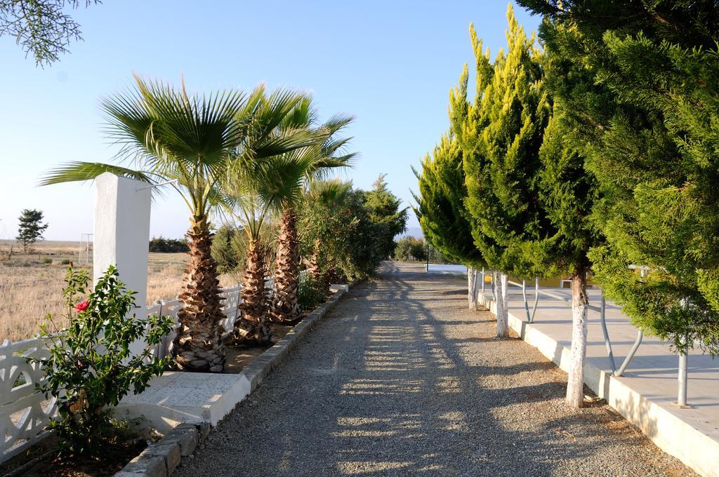 Hotel Koru Beach Club