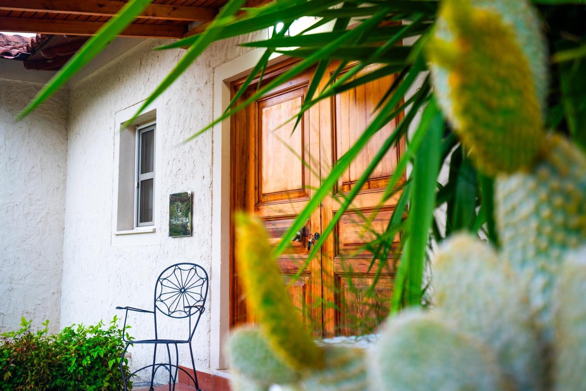 Villa Cedrus