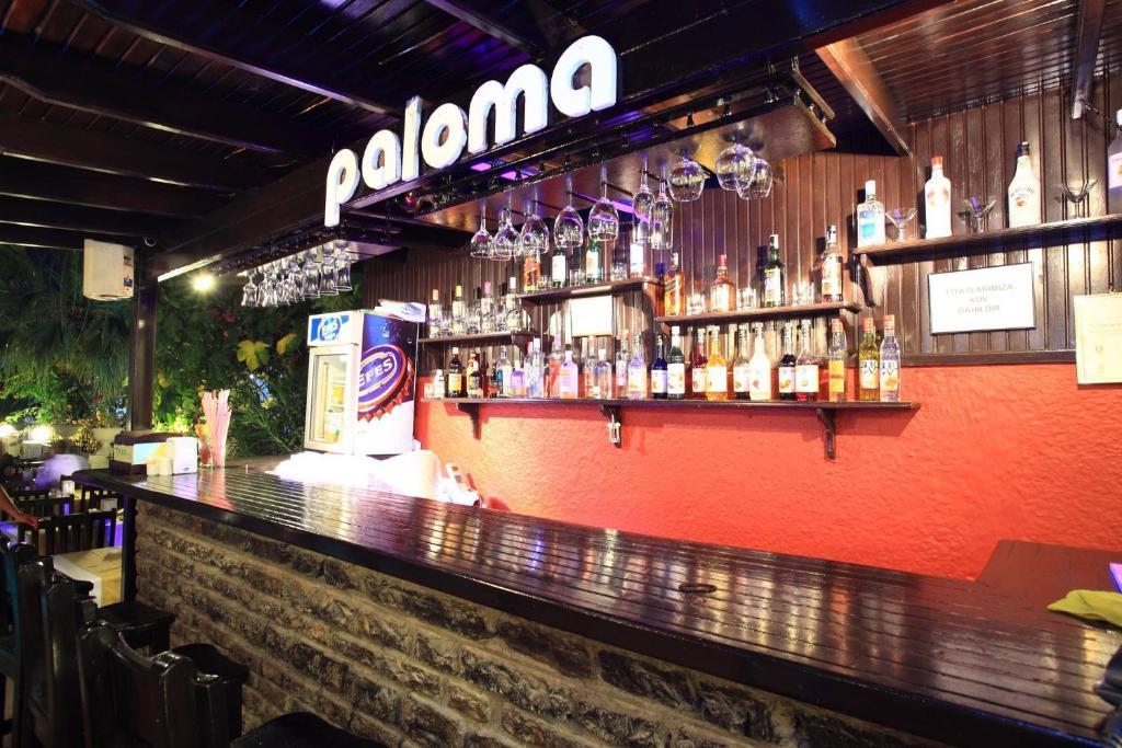 Paloma 2*