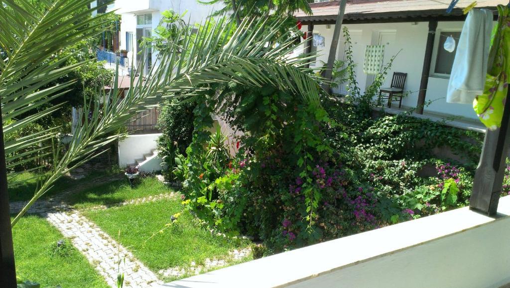 Eda Guest house