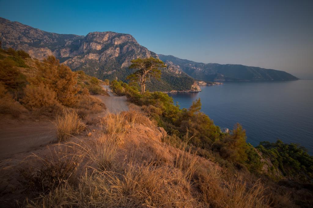 Lodge Kabak Avalon *