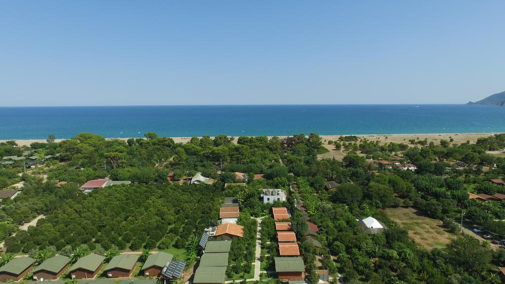 Yildiz Holiday park Cirali