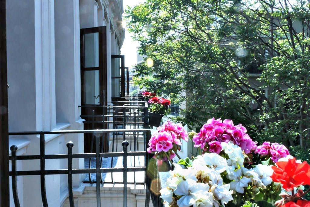 Troya Balat 3*