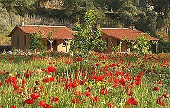 Farm stay Pastoral Vadi Yaniklar