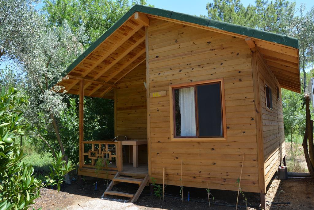 Campsite Halil