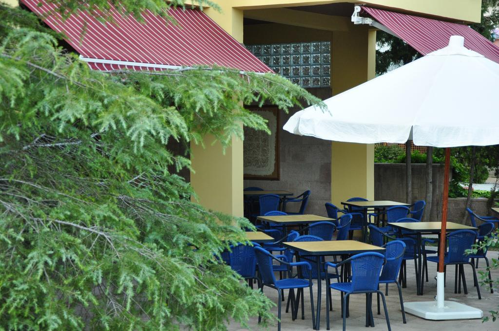 Palm Court Bed & Breakfast