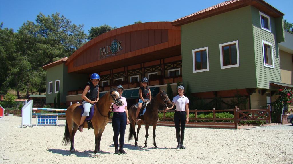 Hotel Padok Premium & Stables