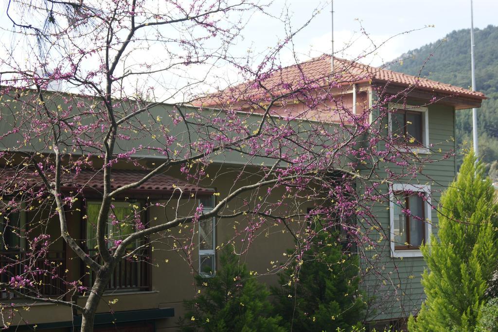 Padok Premium & Stables 4*