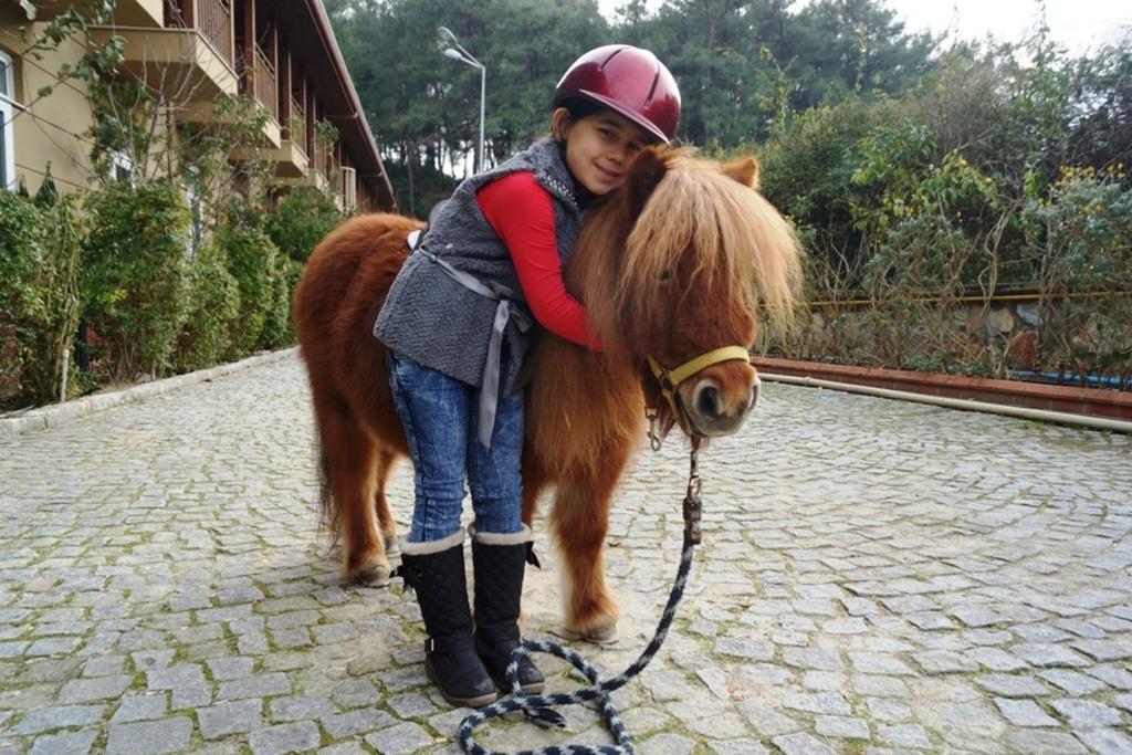 Padok Premium & Stables Hotel 4*