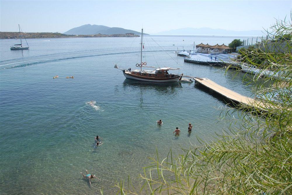 Akvaryum