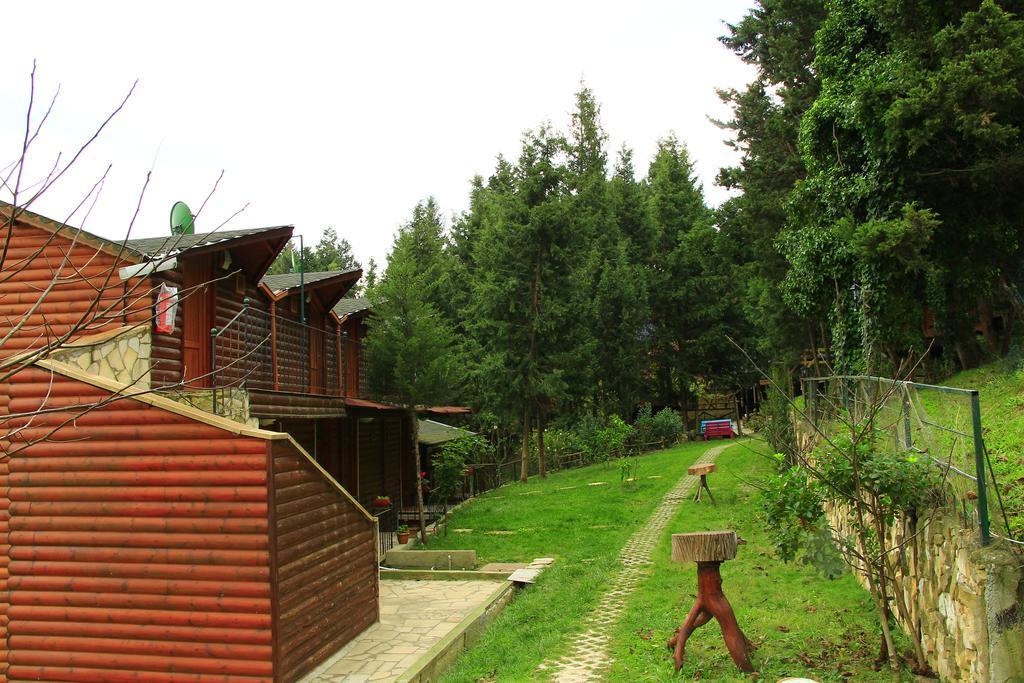 Lodge Forest